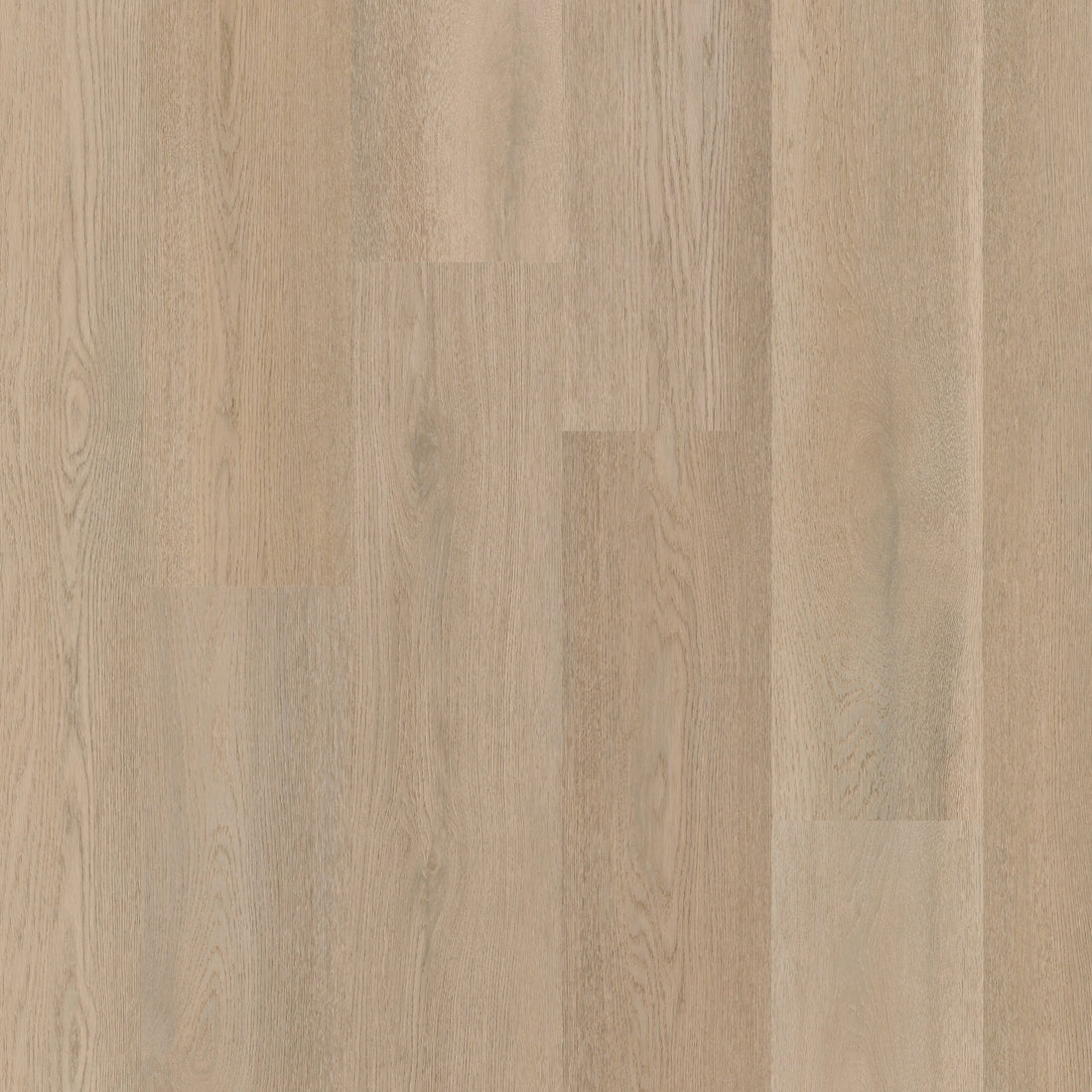 Therdex 15083 Premier Dryback PVC - Rechte stroken - Solza.nl