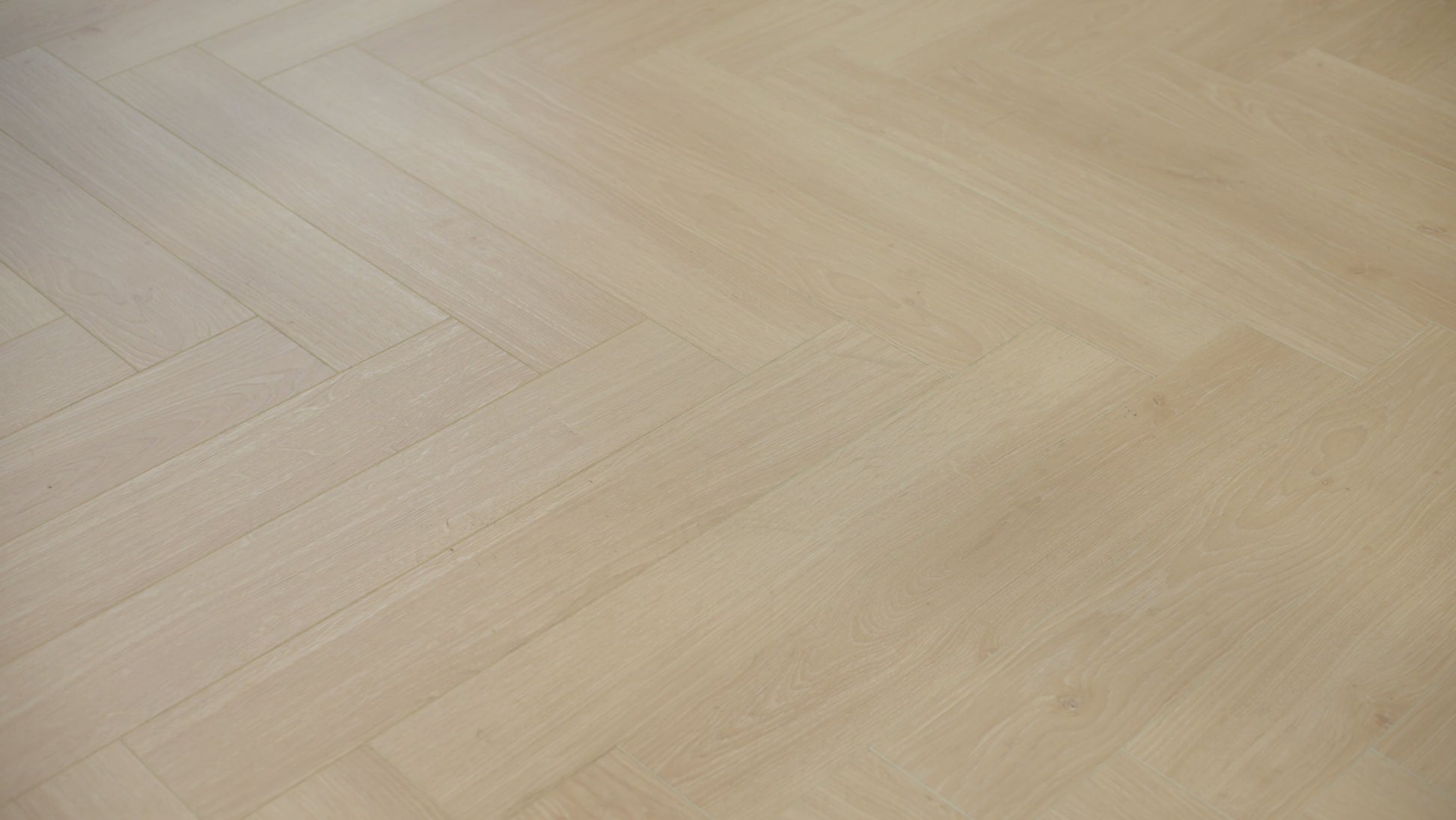 Floer Walfischgrät Laminat Livyatan Hell FLR-1611