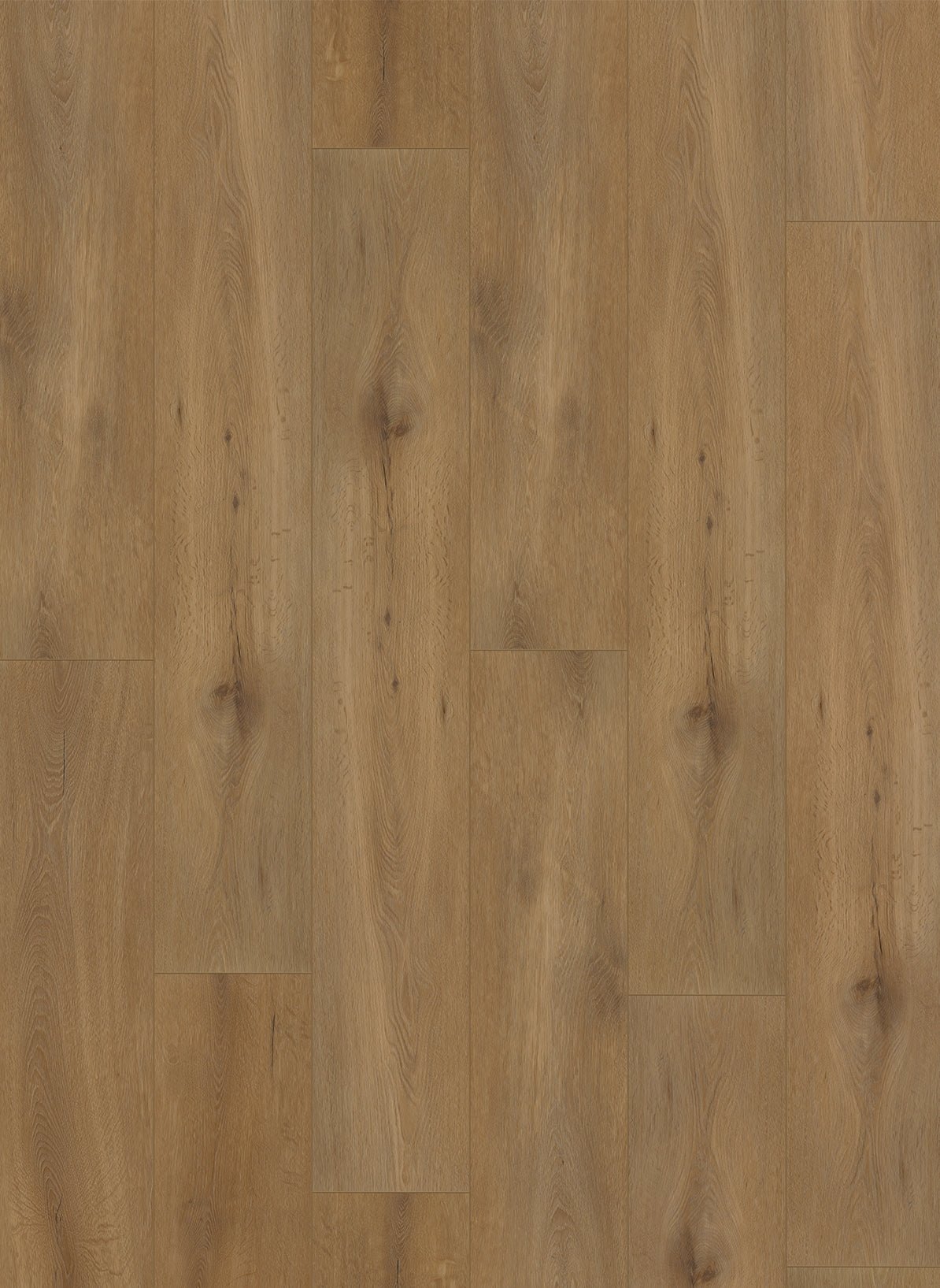 Gelasta Callisto Dryback 4100 Natural Oak Dark - Solza.nl