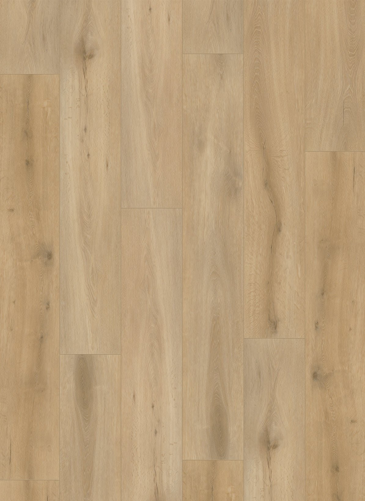 Gelasta Callisto Dryback 4101 Natural Oak Light - Solza.nl